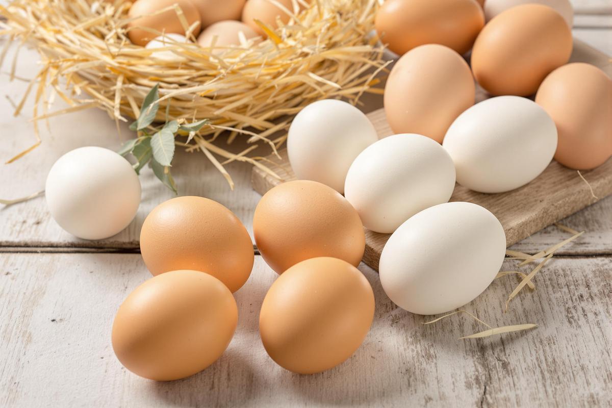 les œufs de catégorie a ont plusieurs caractéristiques lesquelles